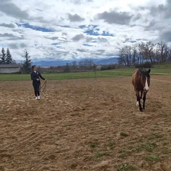 équitation de relation équicoaching cavalier Ardèche