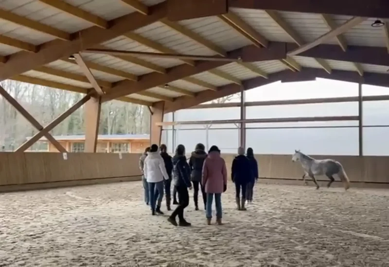 teambuilding cheval entreprise Auvergne-Rhône-Alpes